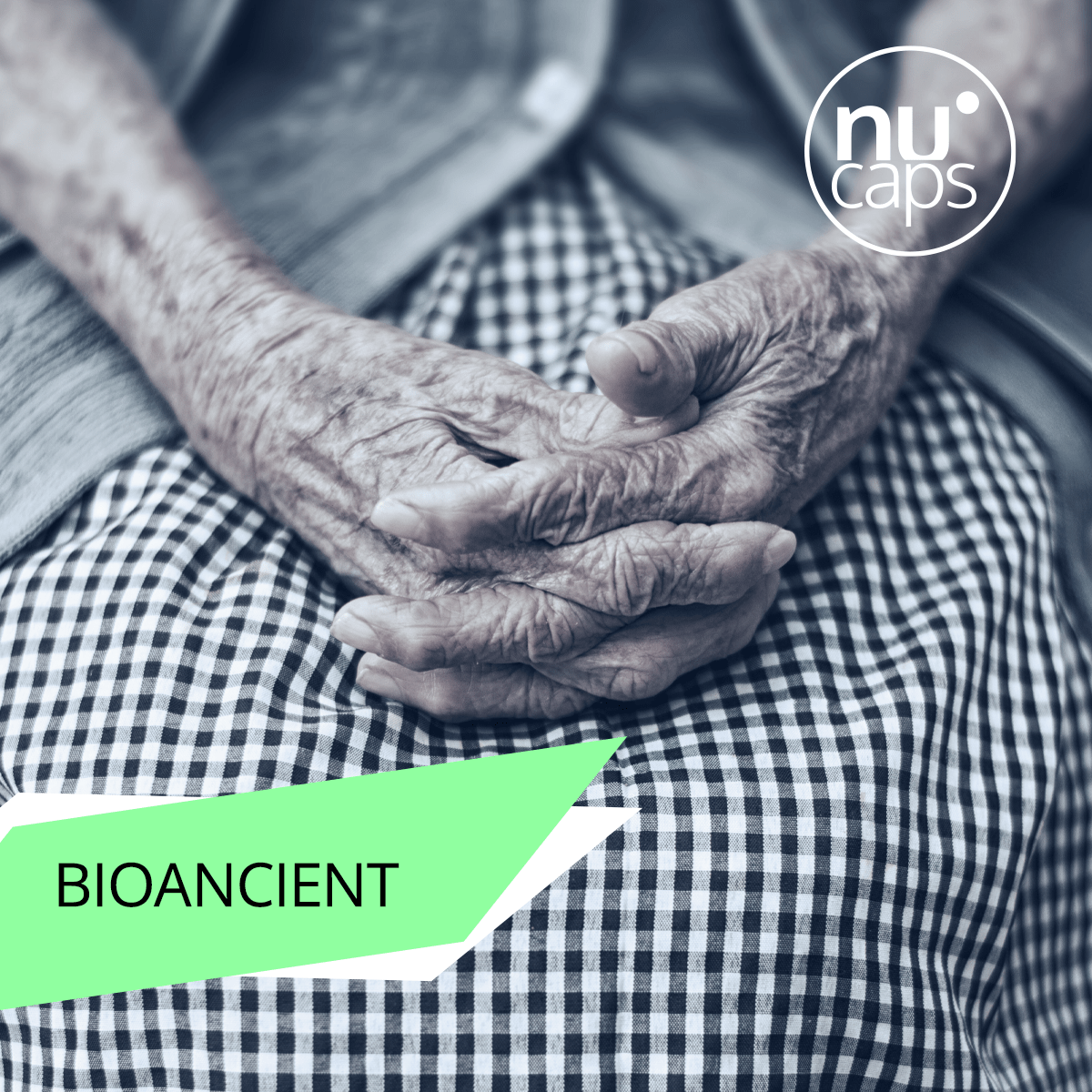 Imagen deBIOANCIENT, una alianza navarra pionera en salud, tecnología y longevidad saludable
