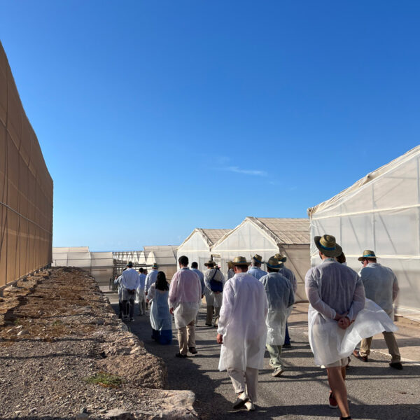 Imagen de la noticia This week, we took the first step at Cajamar Innova 2025!