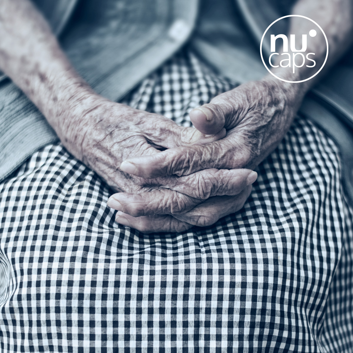 Image of BIOANCIENT, a pioneering Navarrese alliance in health, technology, and healthy longevity.