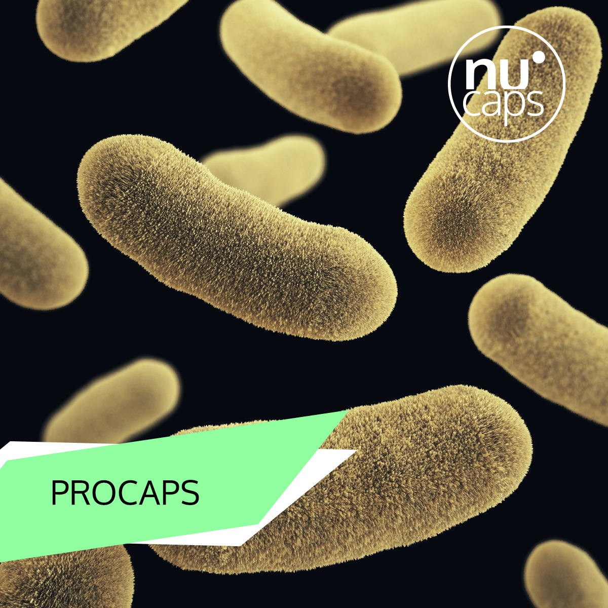 Image of Navarre Government Allocates €223,624.34 to the PROCAPS Project to Validate the Efficacy of Microencapsulated Probiotics